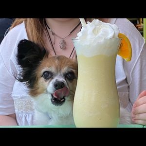 Meet your Posher, Lori